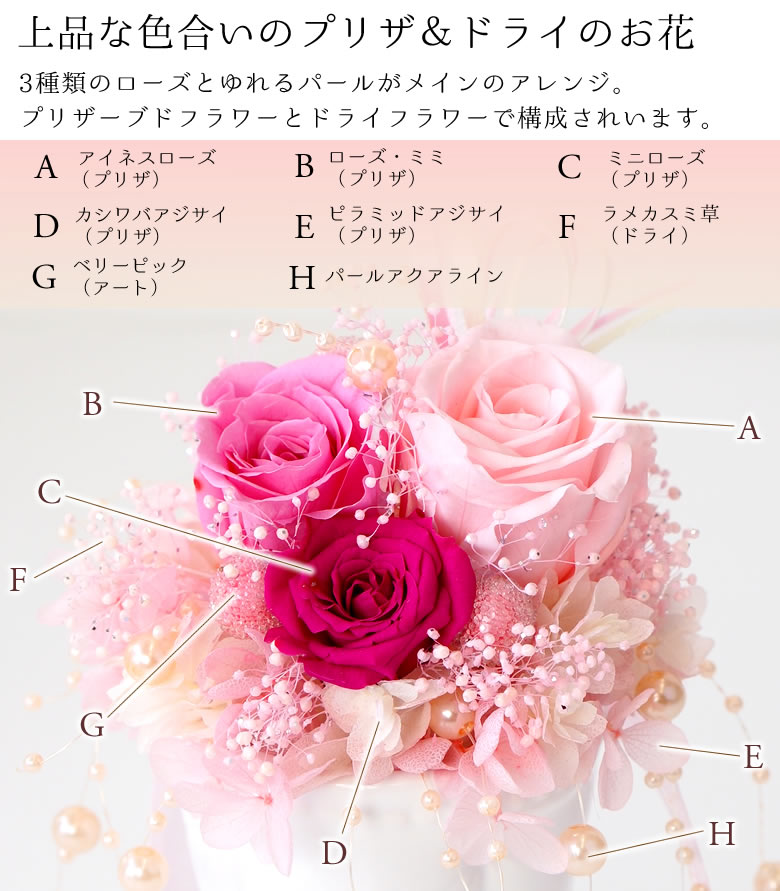 パールファウンテン ジュエルボックスセット
