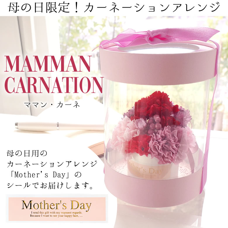 母の日限定!カーネーションアレンジ