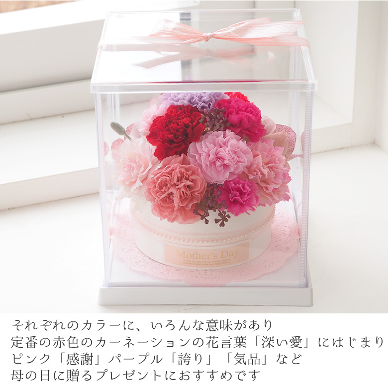 定番の赤色のカーネーション