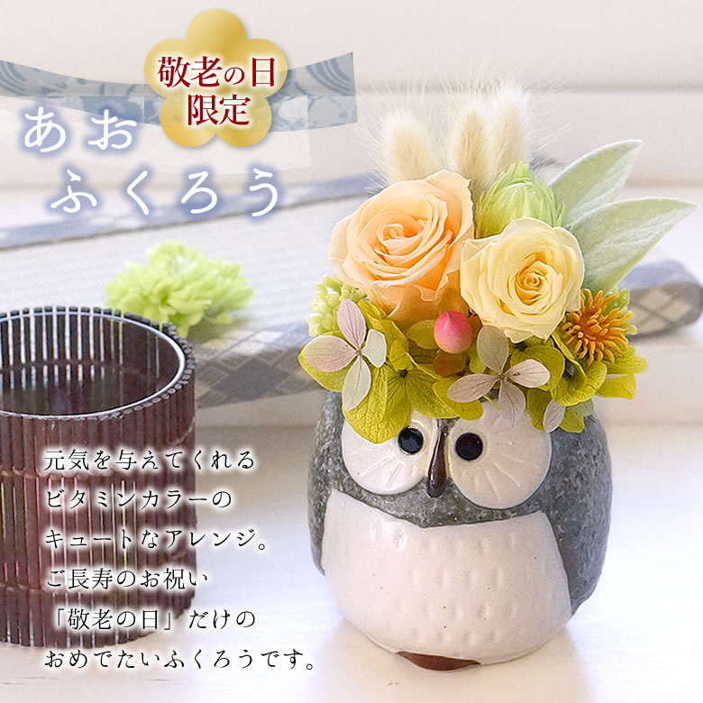 あおふくろう