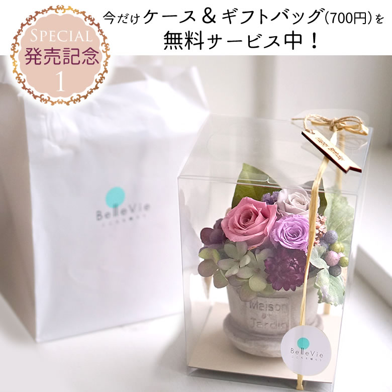 ケースに入れてお届けします
