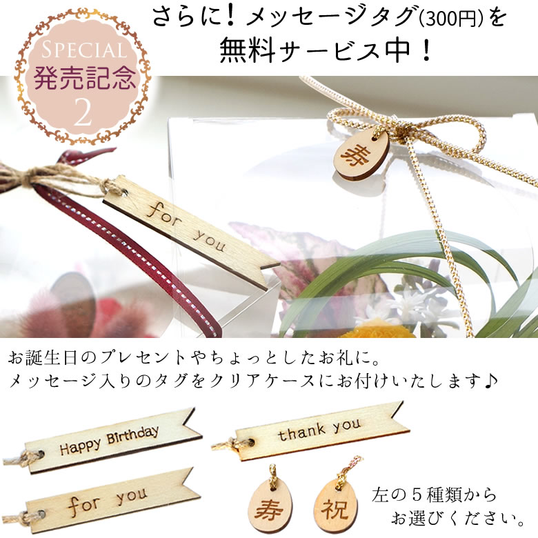 さらに!メッセージタグ(300円)を無料サービス中!