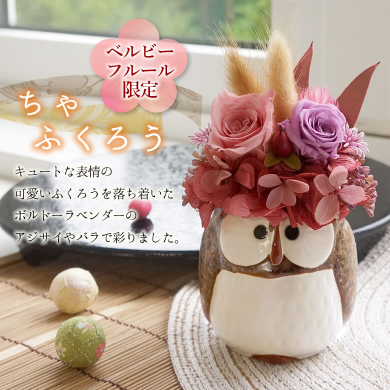 ちゃふくろう