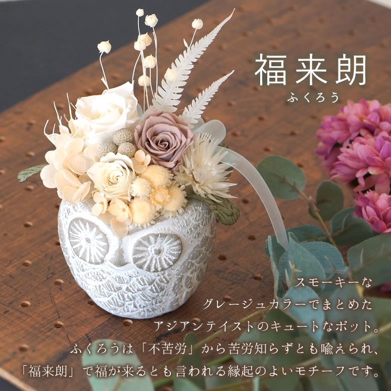 福来朗 (ふくろう)