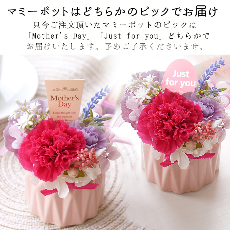 マミーポットピックどちらかでお届け