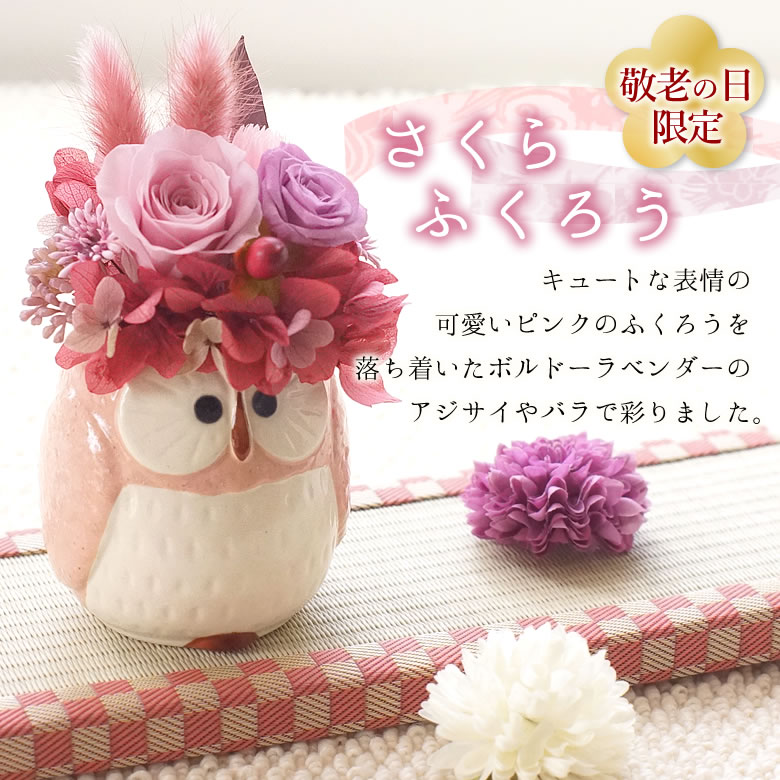 さくらふくろう
