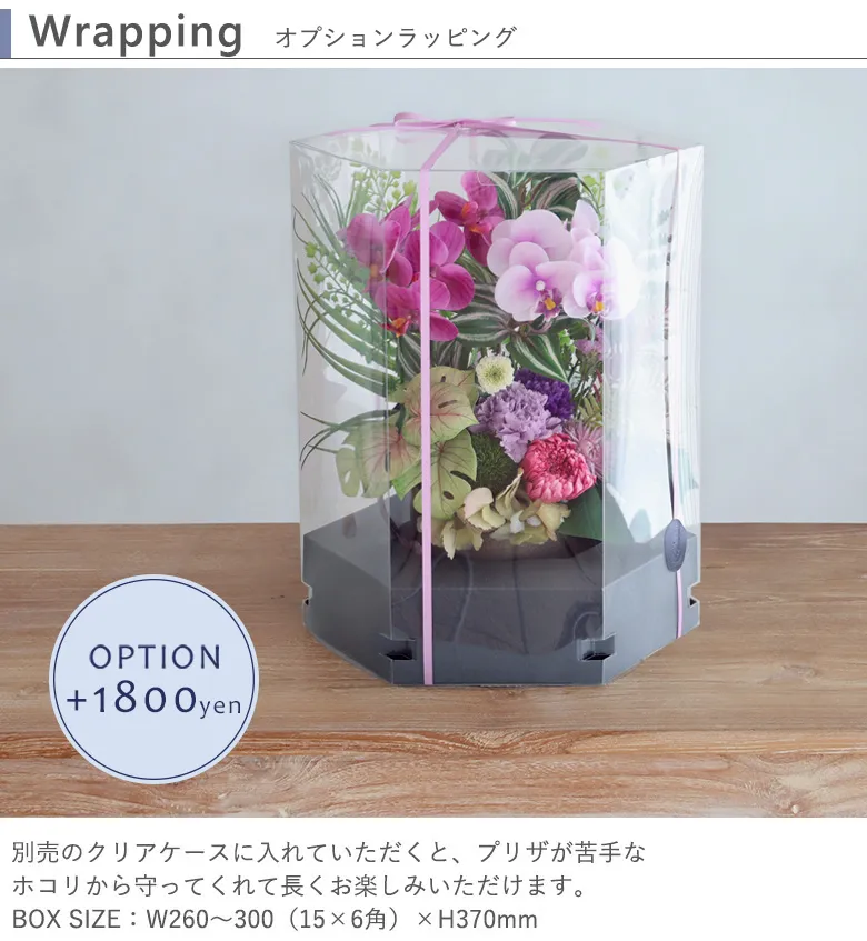 専用クリアボックス