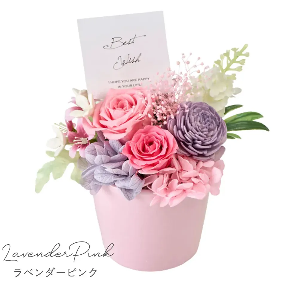 Color:ラベンダーピンク