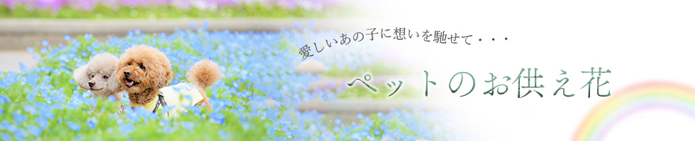 ペットへのお供え花の特集へはこちらから