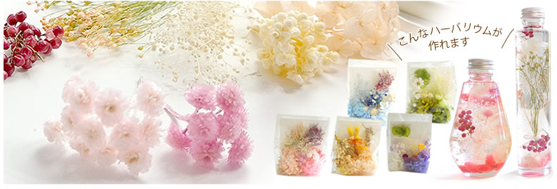 ハーバリウム用花材キット ジョワイユ