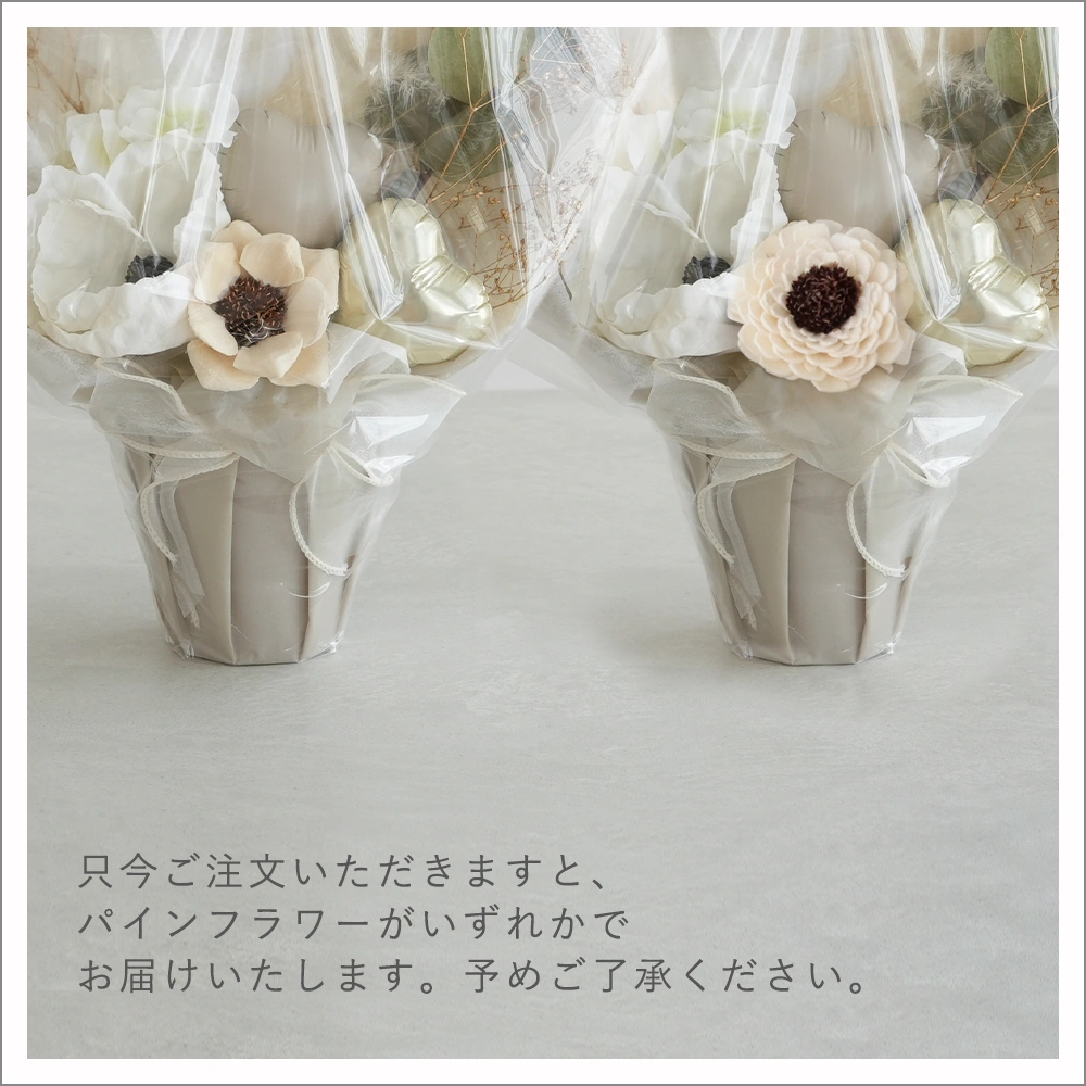 アレンジバルーン ジョーゼットポピー