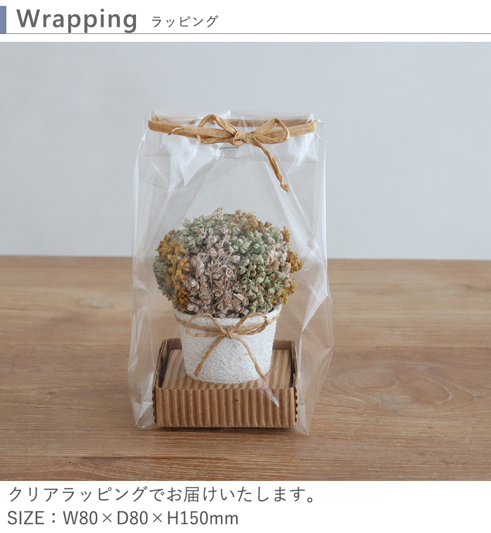 Wrapping：クリアラッピング