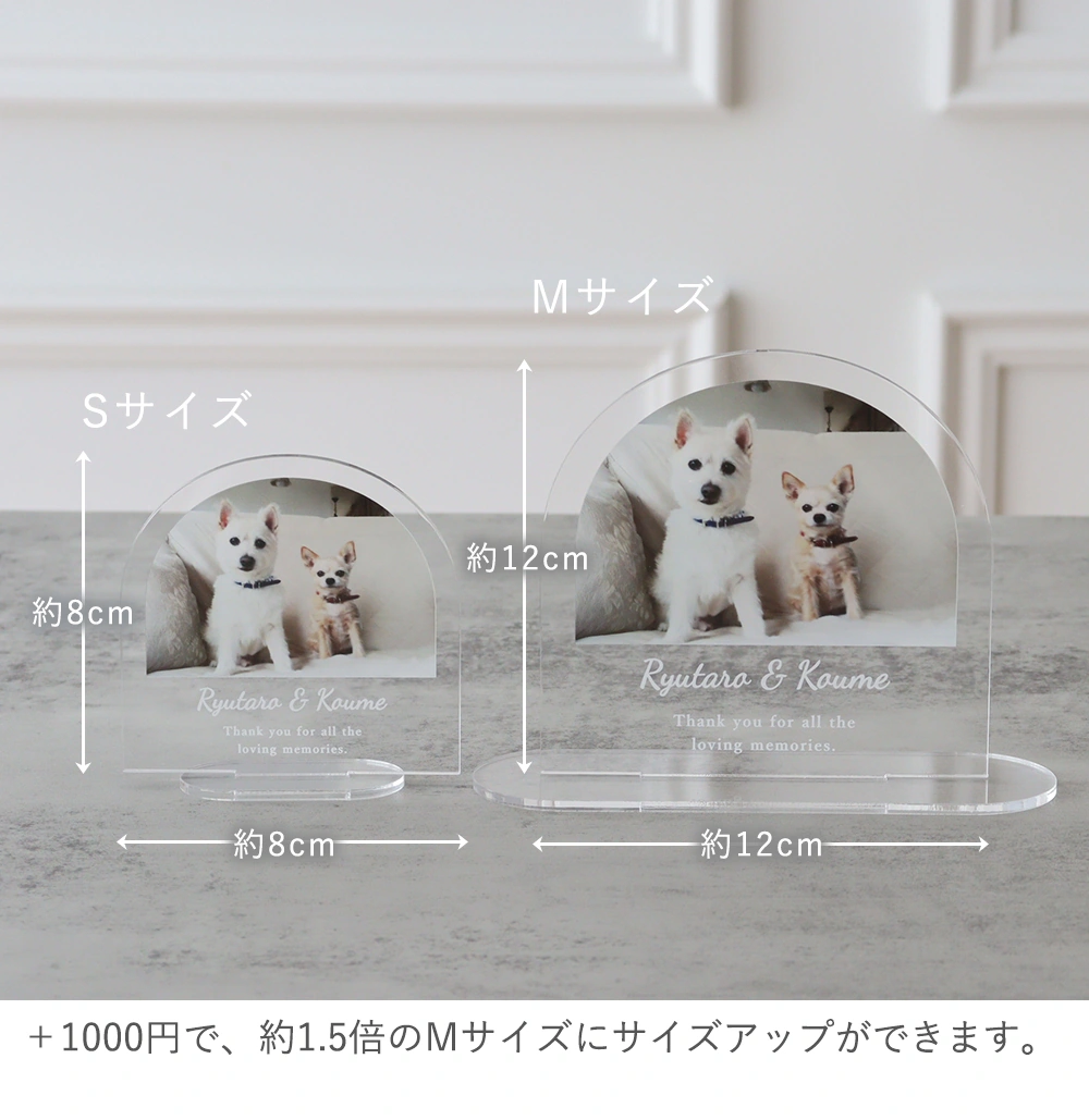 オプション