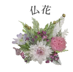 BelleVie Fleur����