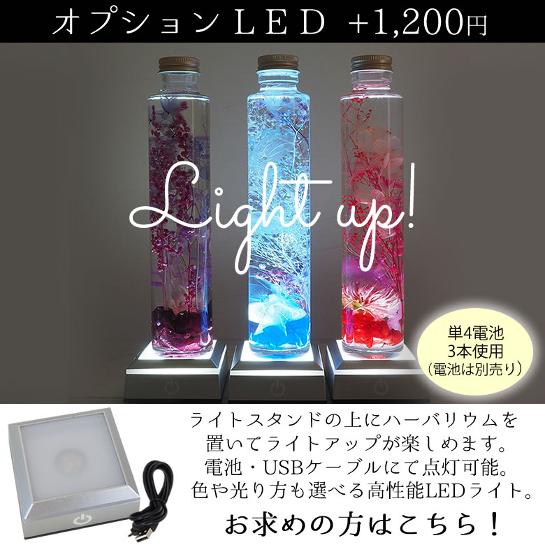 オプション