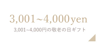 3001~4000円の敬老の日ギフト