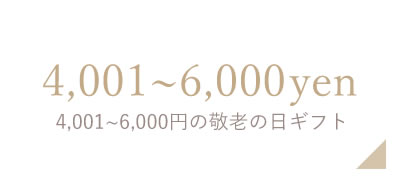 4001~6000円の敬老の日ギフト