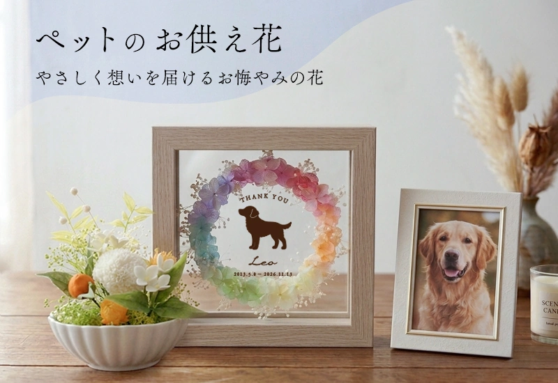 ペットのお供え花｜やさしく想いを届けるお悔やみの花