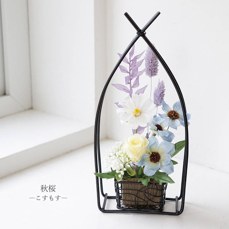秋桜（こすもす）