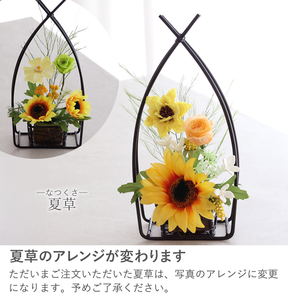 夏草　なつくさ　今これバナー