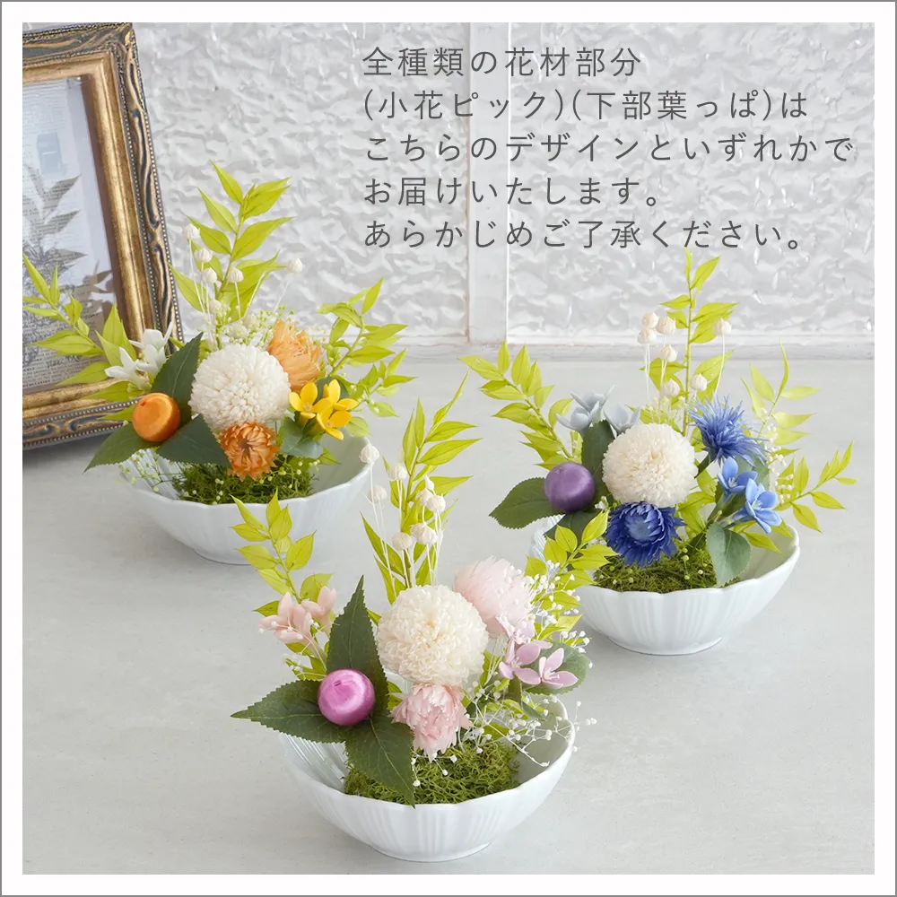 全種類 どちらかのデザインでお届け