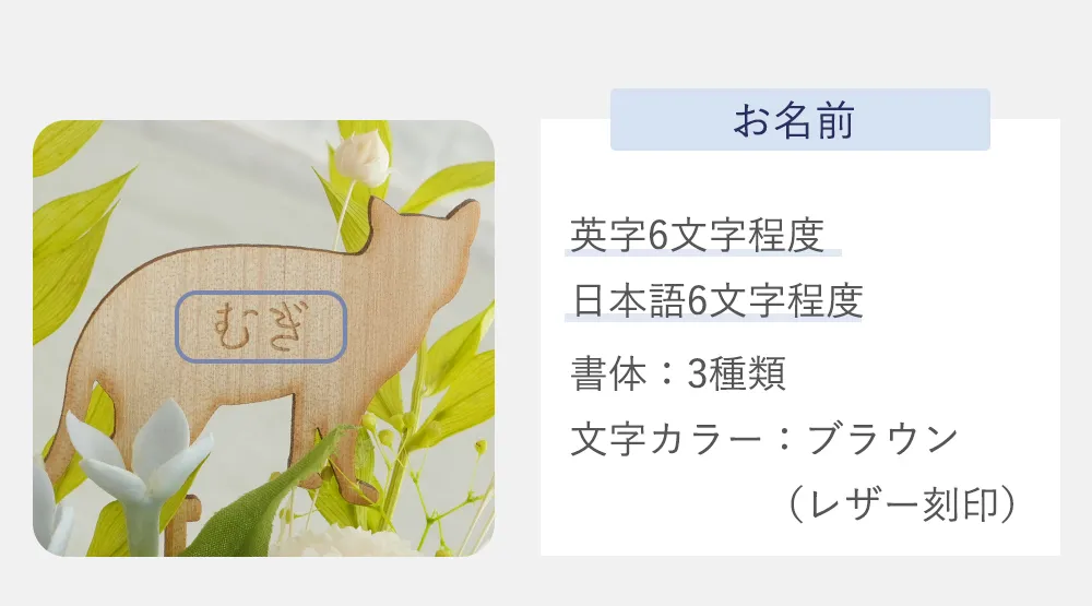 レイアウト・注意事項