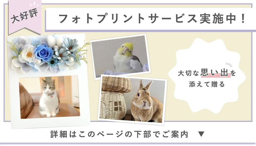 プリザーブドフラワーフォトフレーム ペット仏花 プレシャスメモリーズ