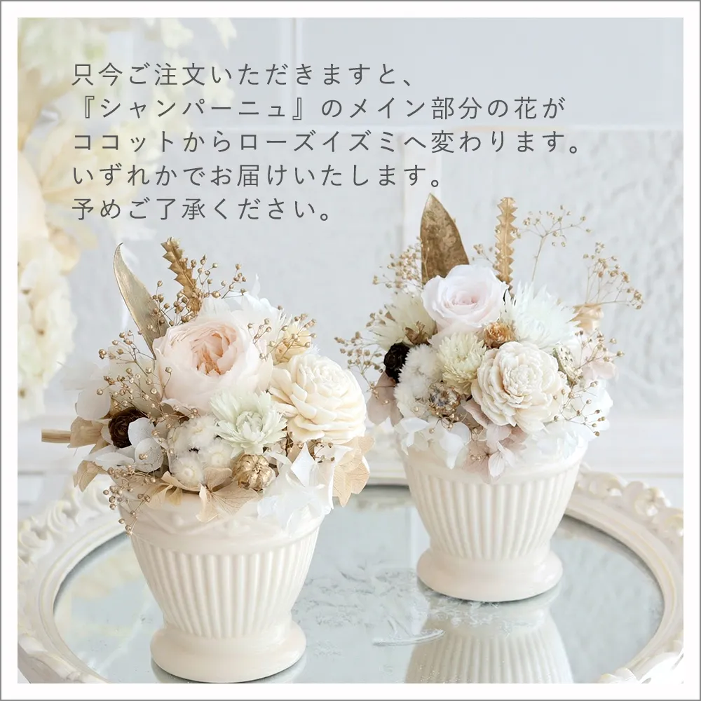 シャンパーニュどちらかが行きます