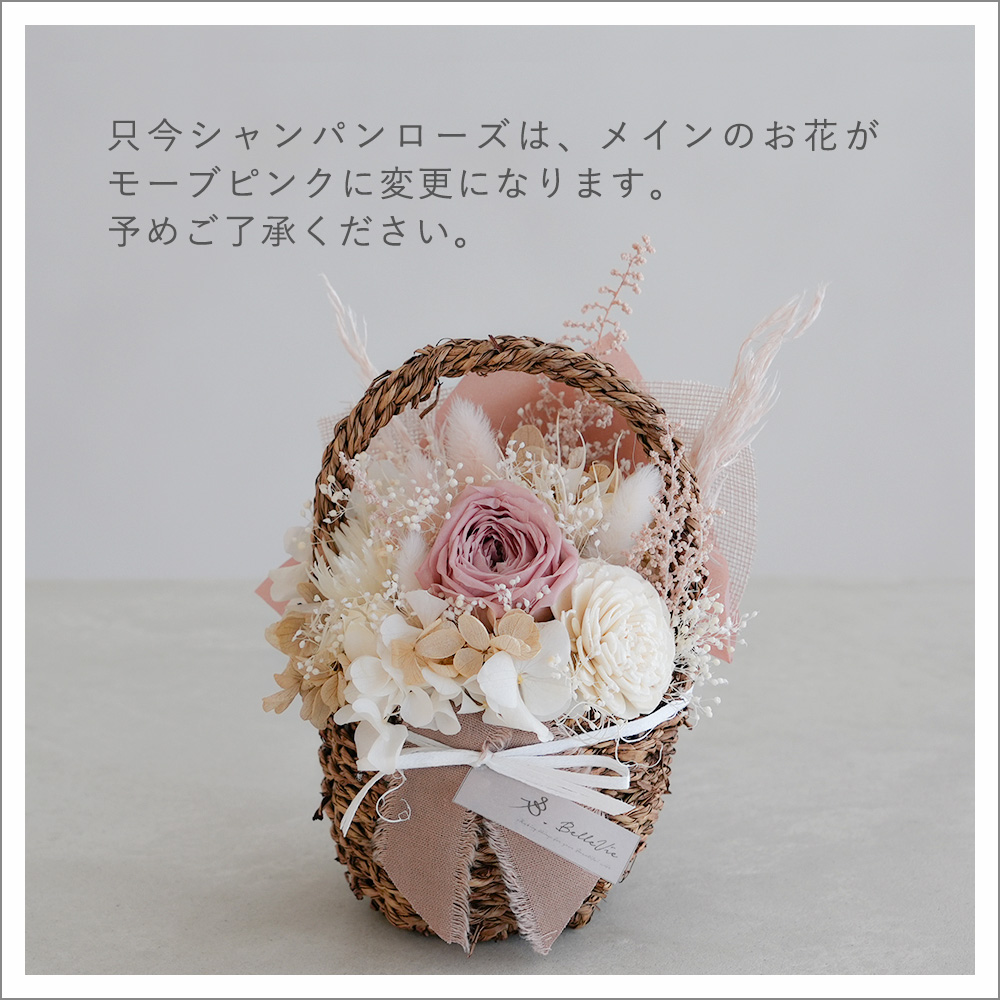 シャンパンピンク今これ