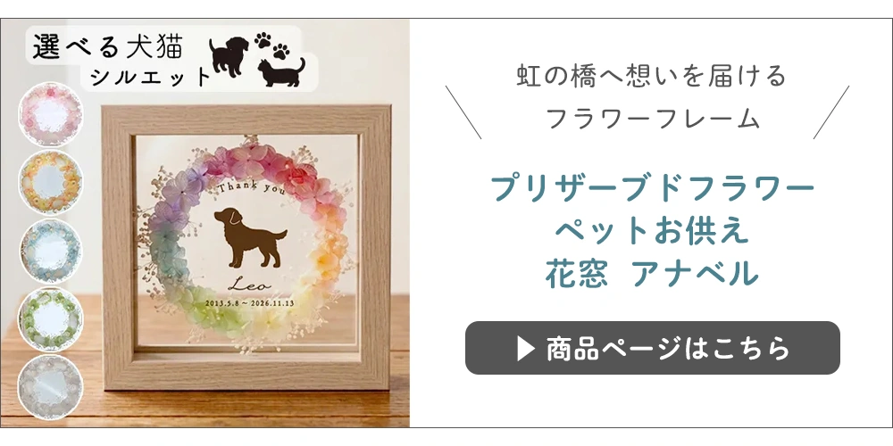 ペット仏花アナベル虹