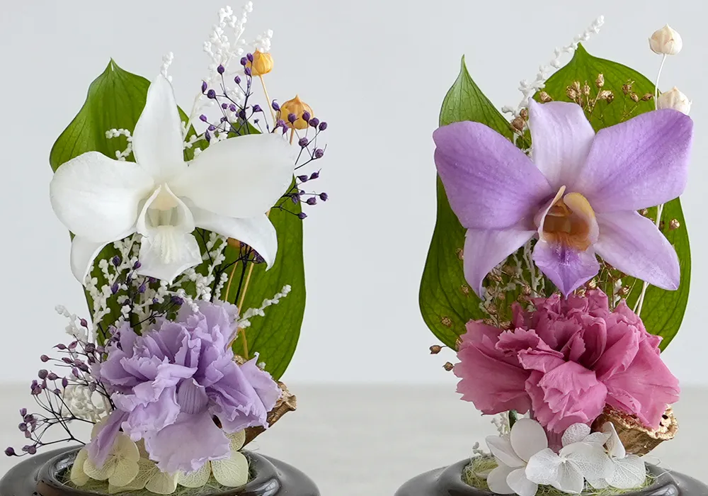 蘭を主役にした華やかな佇まい