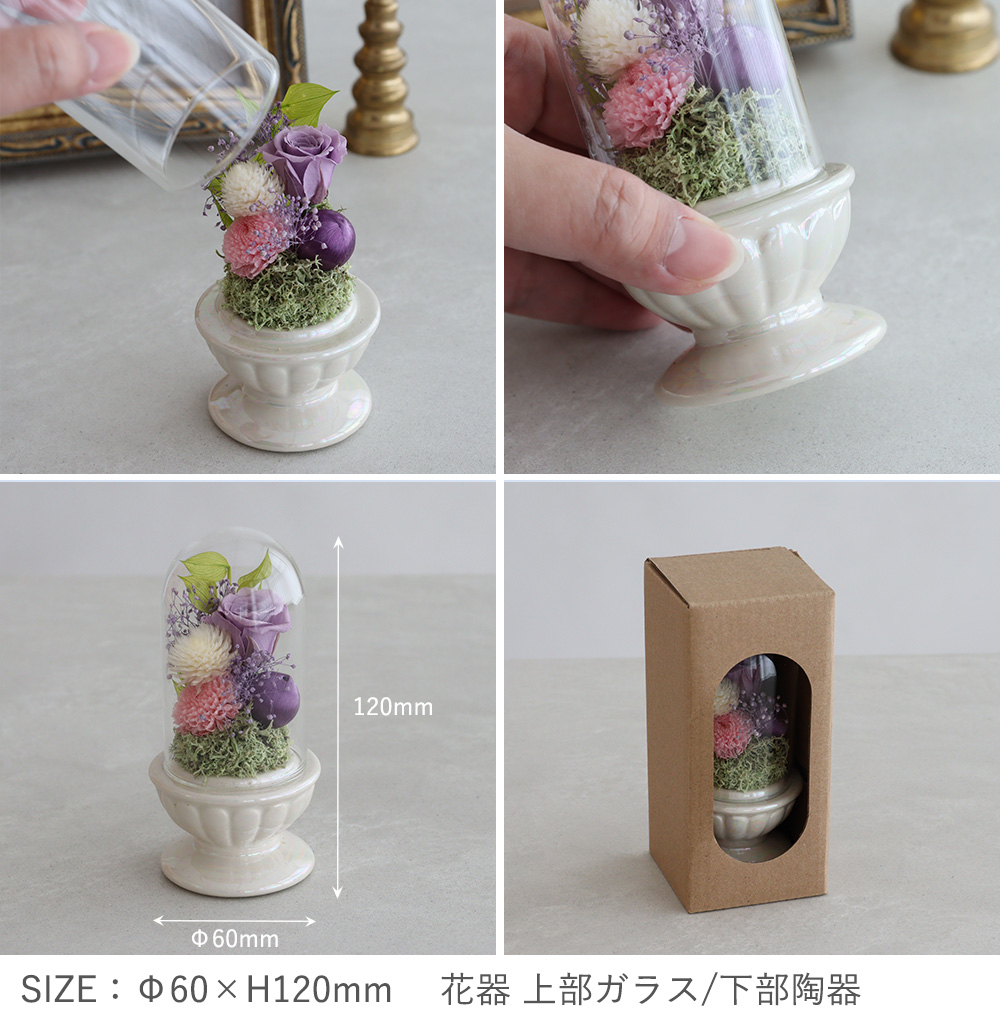 ディティール　拡大　横　後ろ