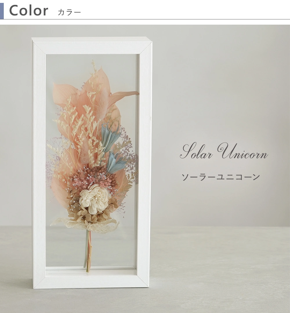 Color：ソーラーユニコーン