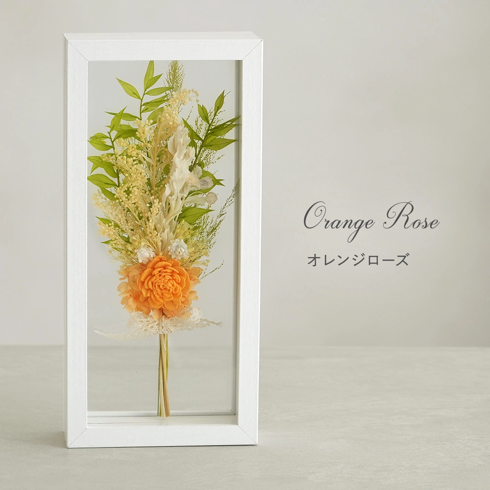 Color：オレンジローズ
