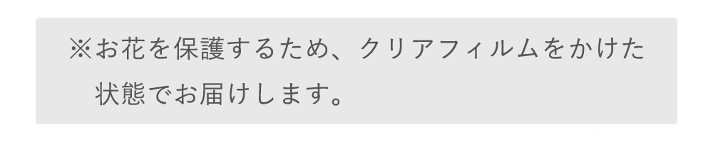 サイズ比較