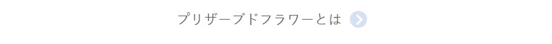 プリザーブドフラワーとは