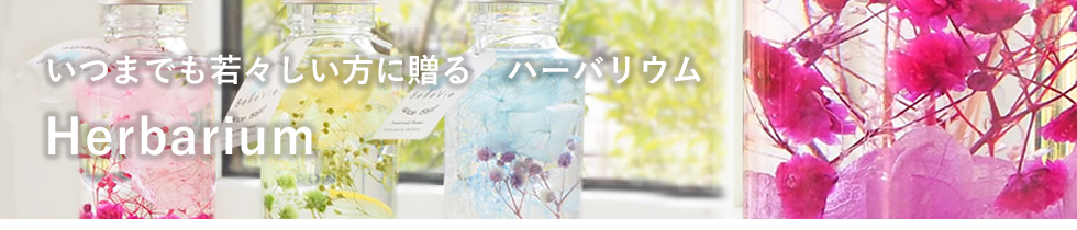 n[oE̒j