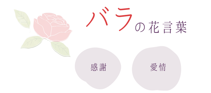 桜の花言葉